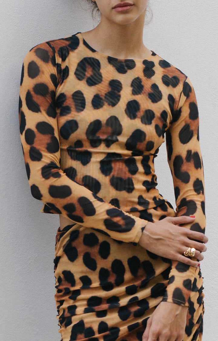 Top Leopardo